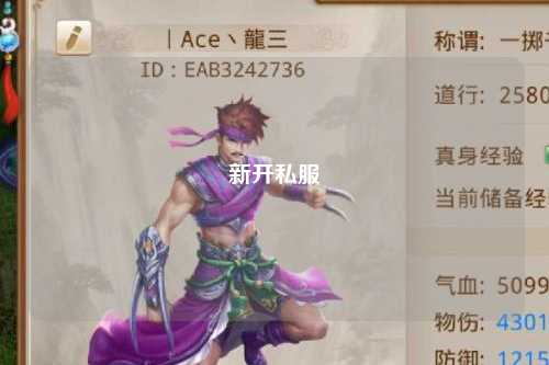 新开私服